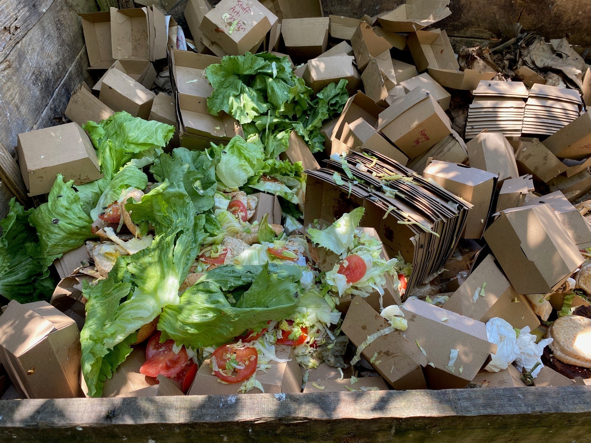 Rhode Street School, the kura that composts and built an ecological island